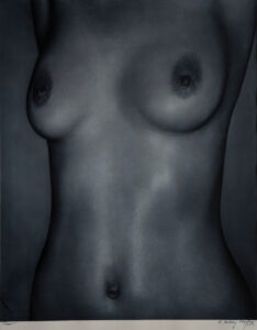 Torso
