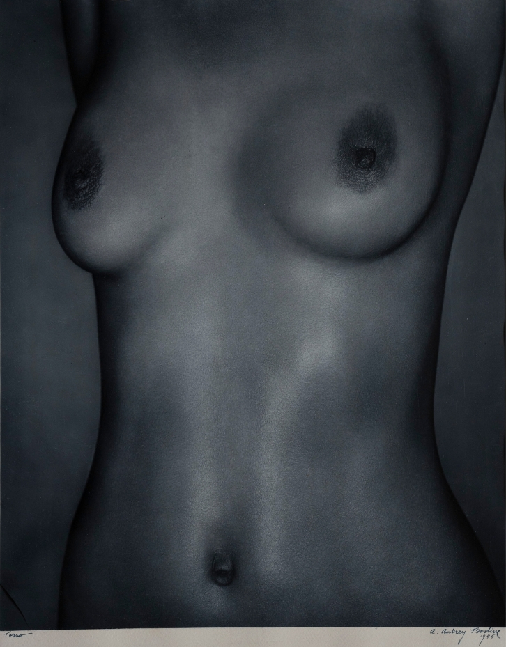 Torso